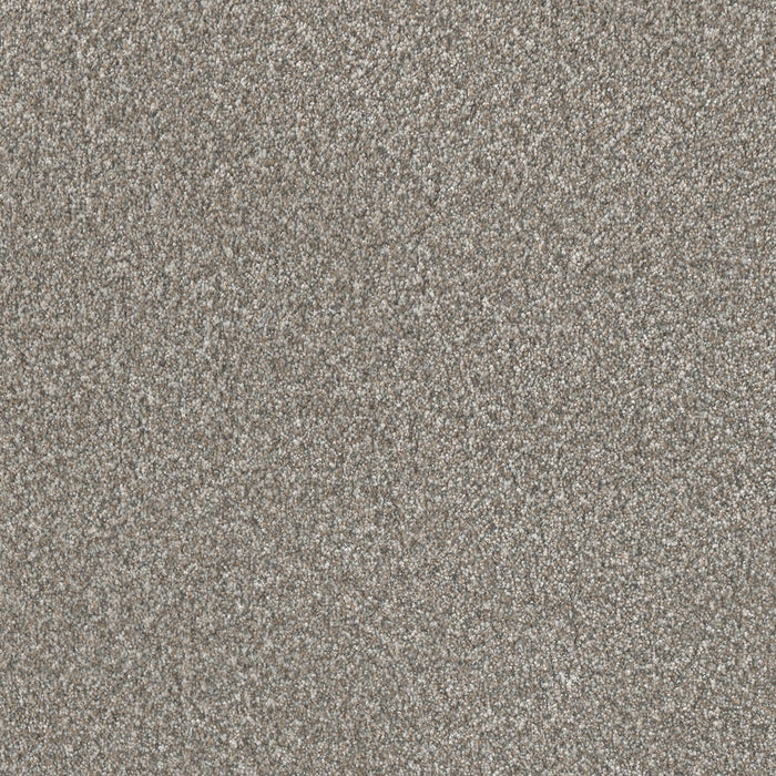 Lucky Penny I Polyester Frost 2591 Carpet Textured 1