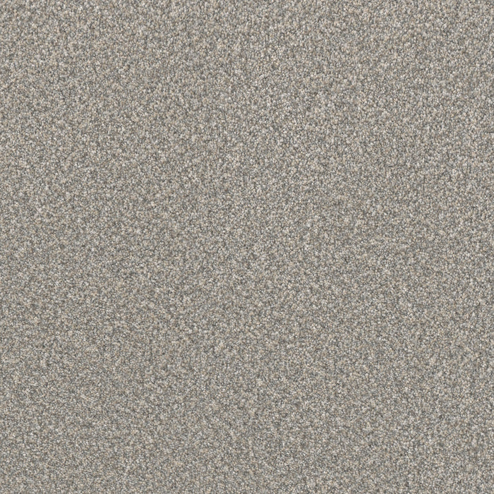 Lucky Penny III Polyester Pearl 2747 Carpet Textured 1