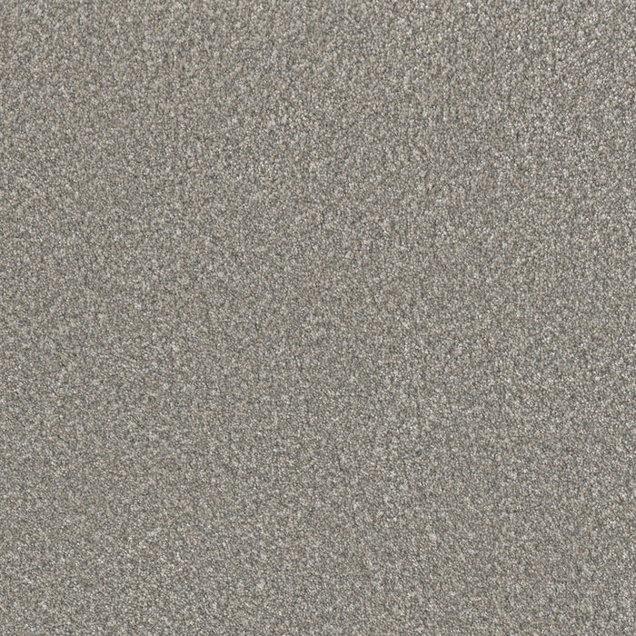 Lucky Penny II Polyester Rain Drops 4003 Carpet Textured 1