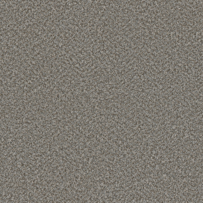 Lucky Penny III Polyester Marcella 4025 Carpet Textured 1