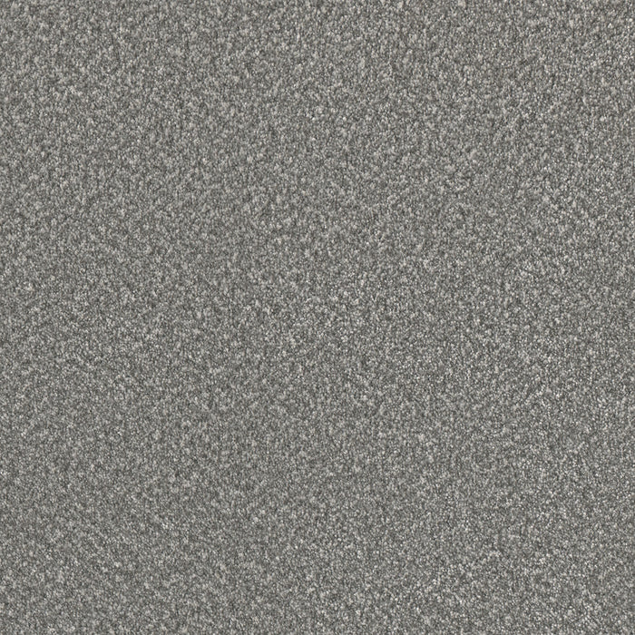 Lucky Penny I Polyester Sky Ridge 4083 Carpet Textured 1