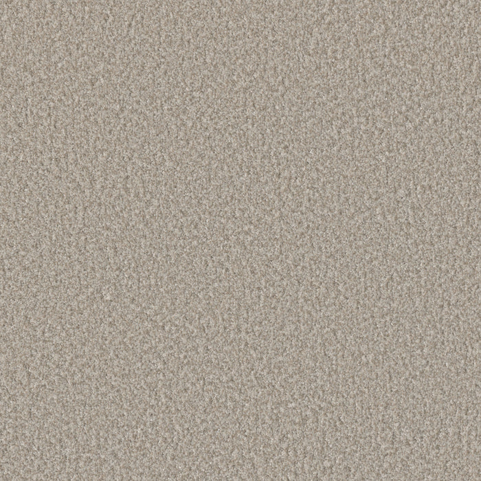 Lucky Penny I Polyester Vera Cruz 4196 Carpet Textured 1