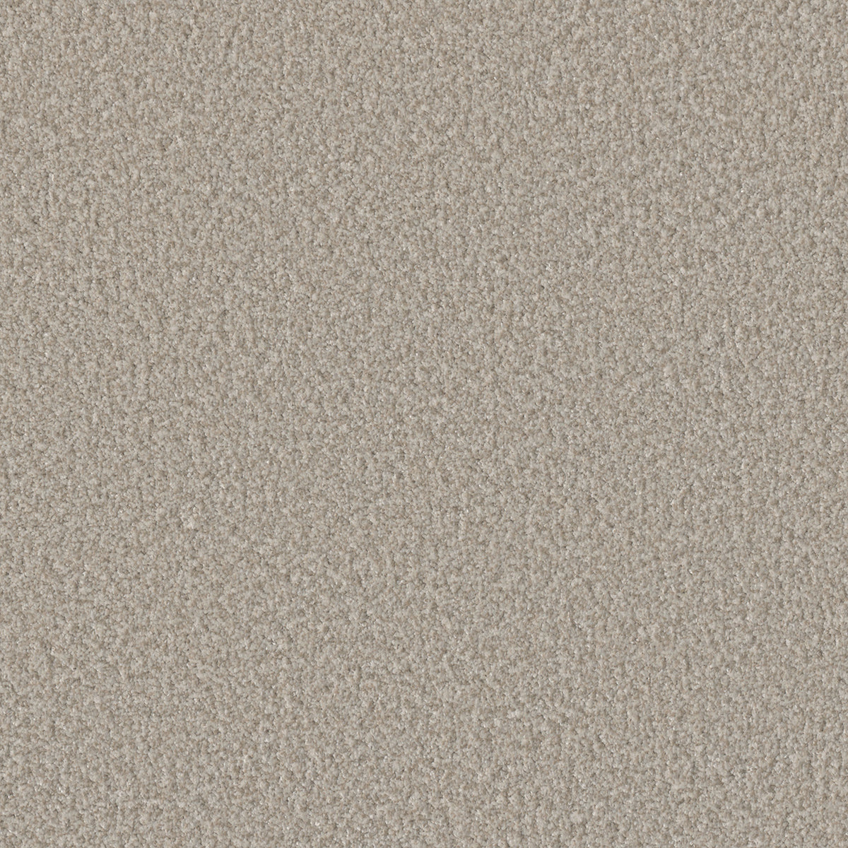 DreamWeaver Lucky Penny II 4196 Vera Cruz Polyester Carpet — Stone