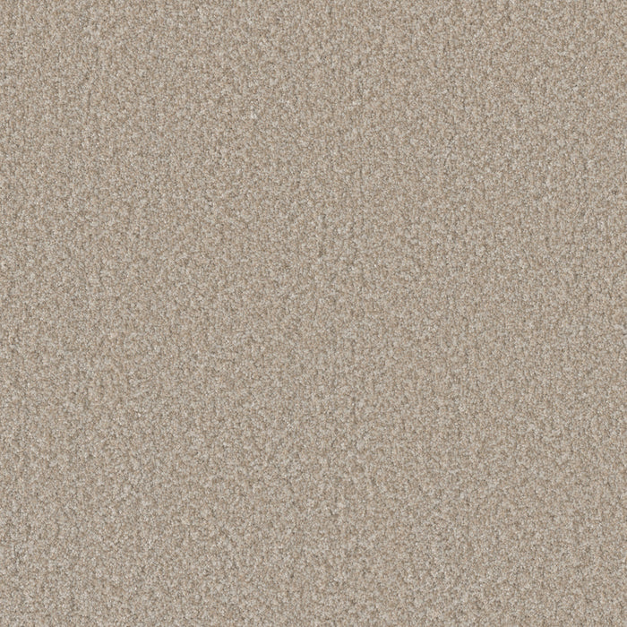 Lucky Penny I Polyester Temple 4277 Carpet Textured 1