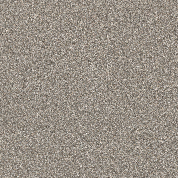 Lucky Penny III Polyester Breakaway 4315 Carpet Textured 1
