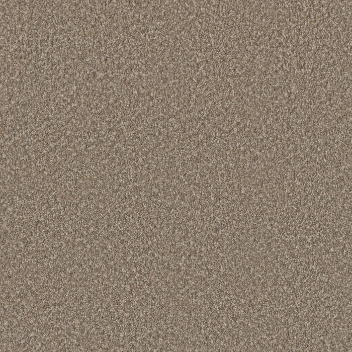 Lucky Penny III Polyester Woodland 4506 Carpet Textured 1