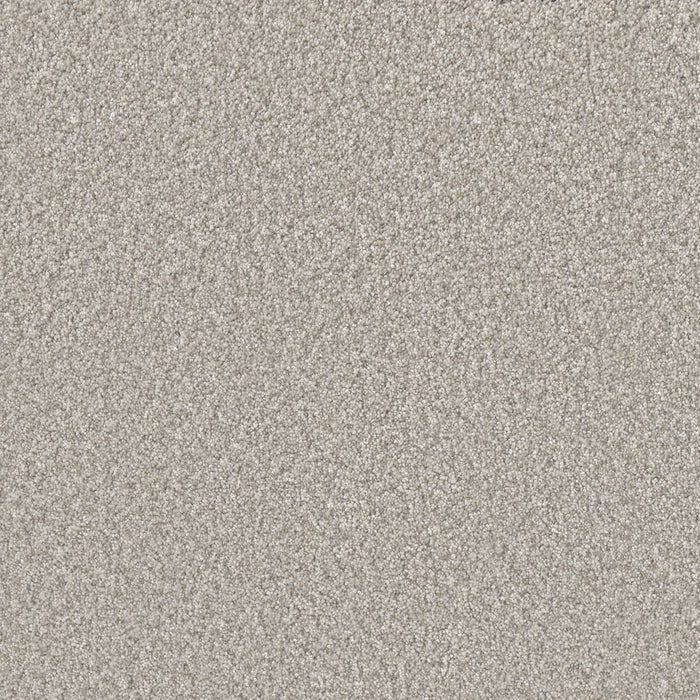 Lucky Penny I Polyester Kenbrook 4765 Carpet Textured 1