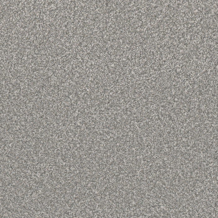 Lucky Penny II Polyester Niagara 4827 Carpet Textured 1