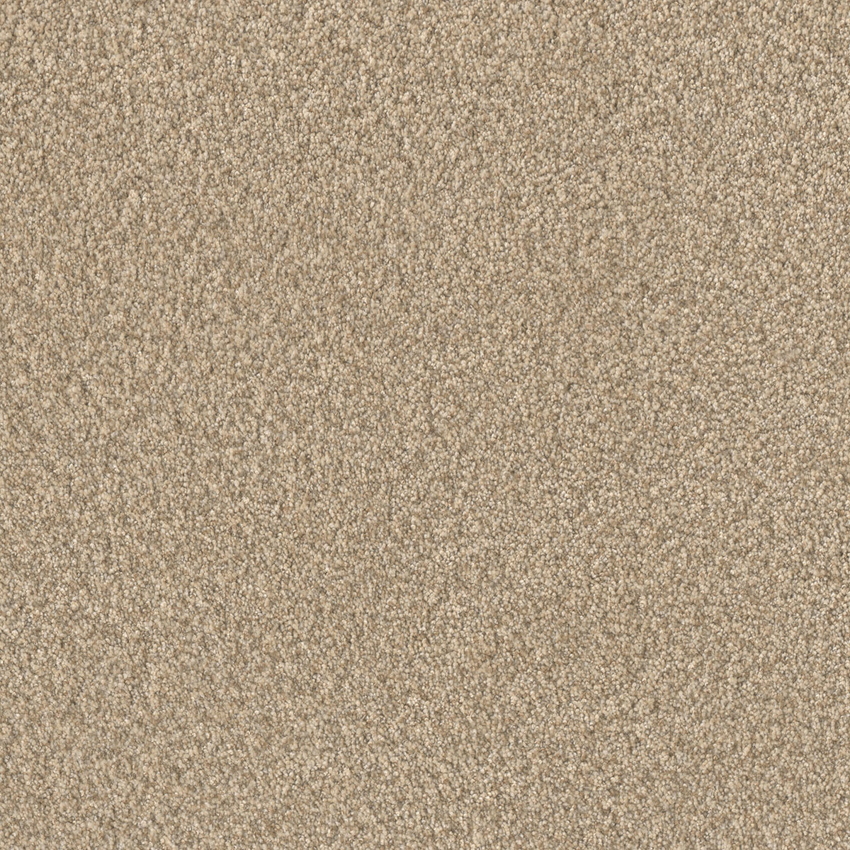 DreamWeaver Lucky Penny I 4878 Pine Cone Polyester Carpet — Stone