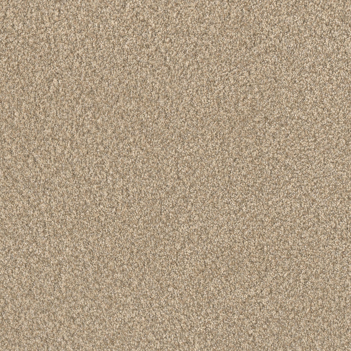 Lucky Penny I Polyester Pine Cone 4878 Carpet Textured 1