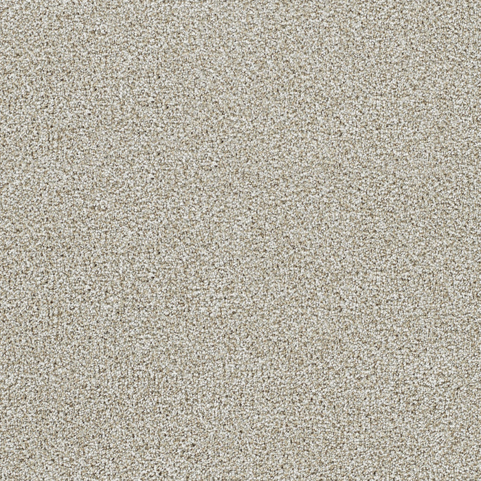 Lucky Penny I Polyester Northlight 4933 Carpet Textured 1