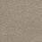 Lucky Penny I Polyester Elite 4998 Carpet Textured 1