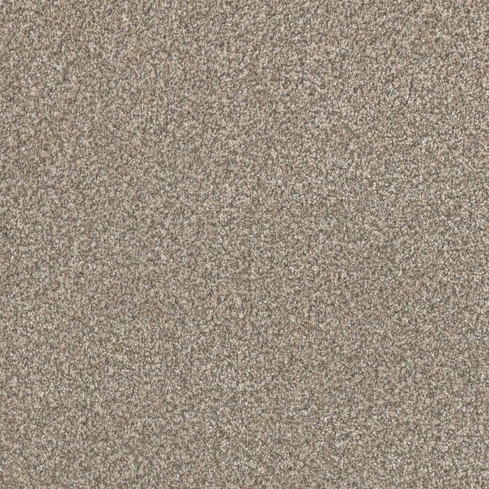 Lucky Penny I Polyester Elite 4998 Carpet Textured 1