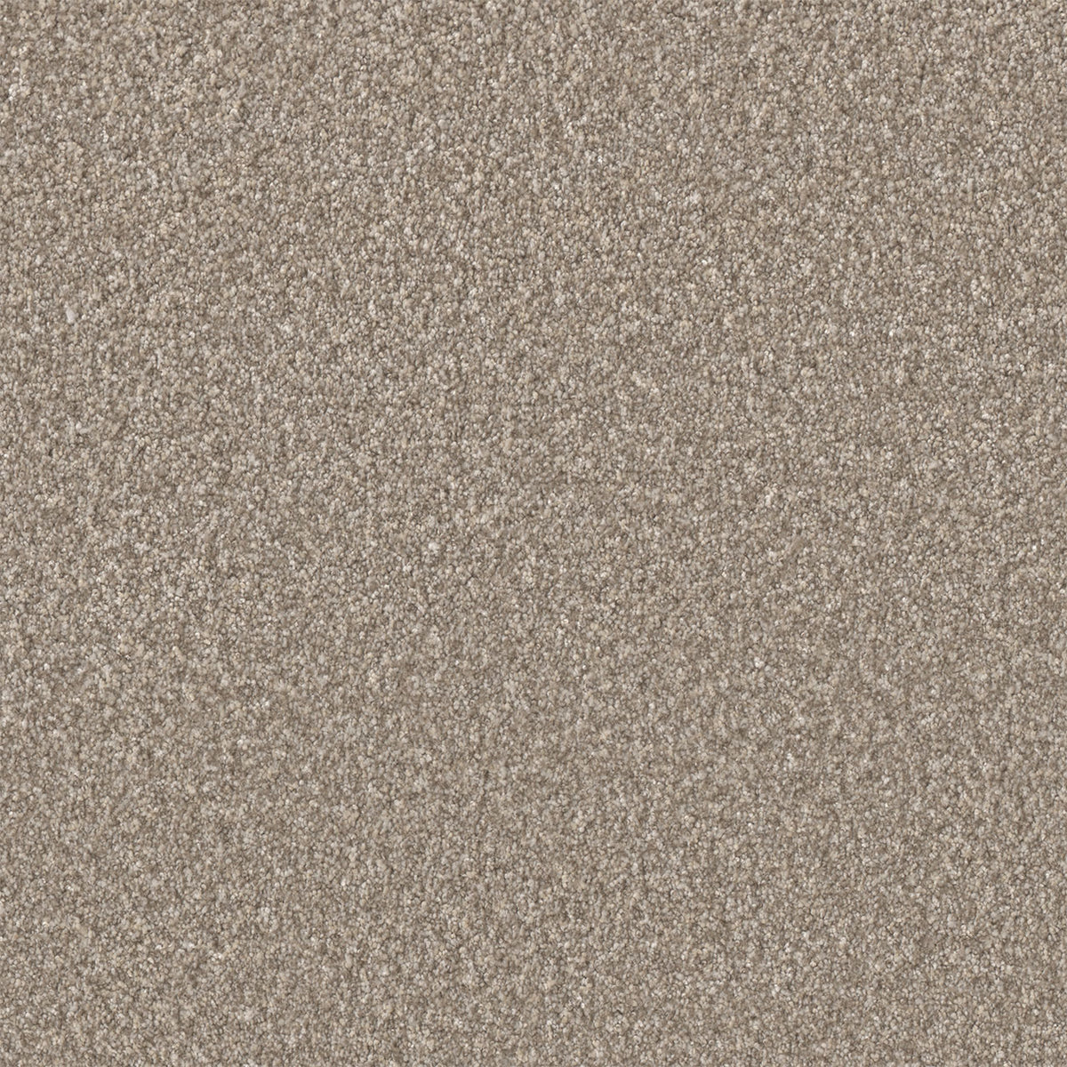 DreamWeaver Lucky Penny I 5140 Bliss Textured Polyester Carpet
