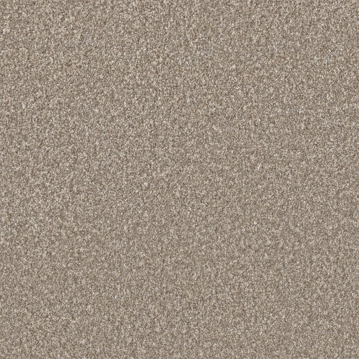 Lucky Penny III Polyester Bliss 5140 Carpet Textured 1
