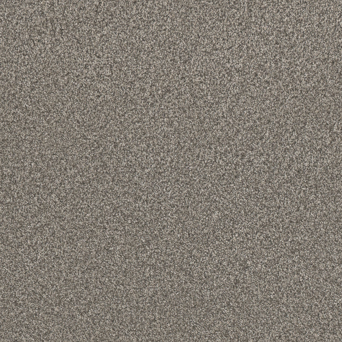 Lucky Penny II Polyester Ventura 5331 Carpet Textured 1