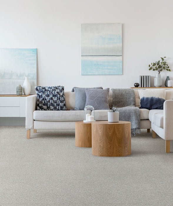 Lucky Penny I Polyester Kenbrook 4765 Carpet Textured 2