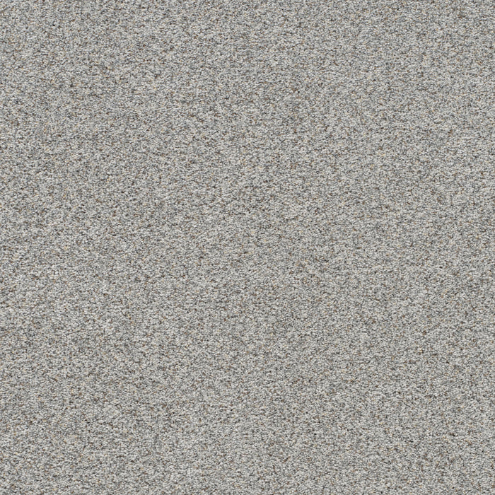 Out Of This World III Polyester Eclipse 2341 Carpet Textured 1