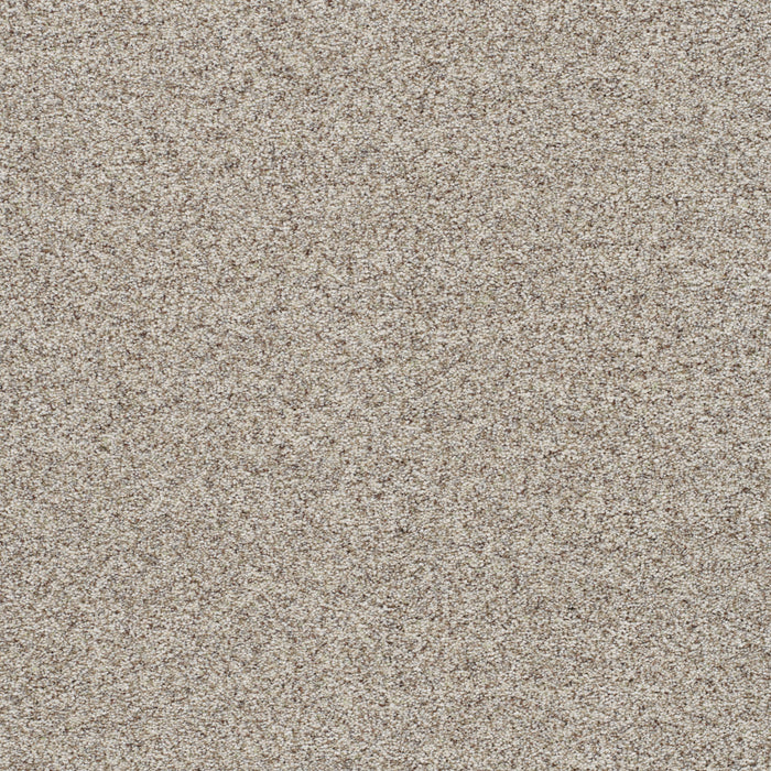 Out Of This World III Polyester Europa 2431 Carpet Textured 1