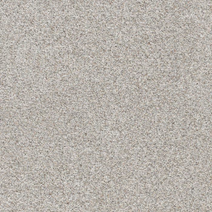 Out Of This World III Polyester Apollo 2539 Carpet Textured 1