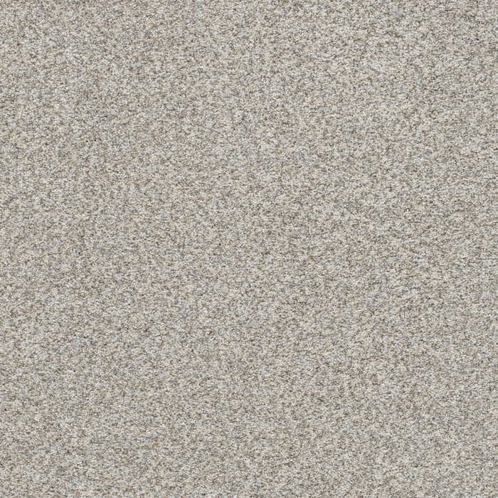 Out Of This World I Polyester Orbit 2545 Carpet Textured 1