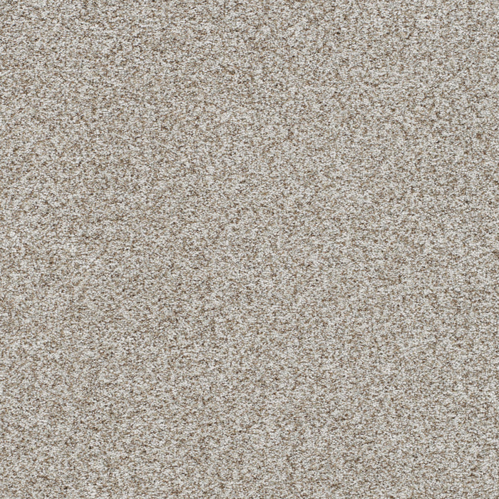 Out Of This World III Polyester Terrestrial 2730 Carpet Textured 1
