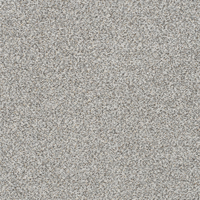 Out Of This World III Polyester Comet 2735 Carpet Textured 1