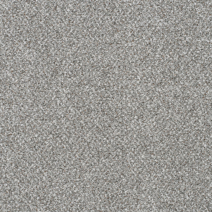 Out Of This World I Polyester Galaxia 2772 Carpet Textured 1