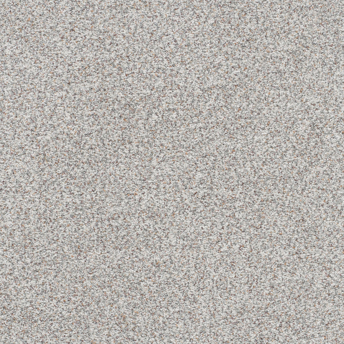 Out Of This World I Polyester Heavenly 2789 Carpet Textured 1