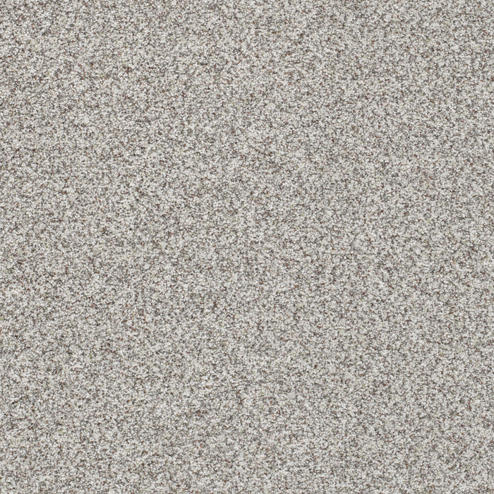 Out Of This World II Polyester Meteor 2815 Carpet Textured 1
