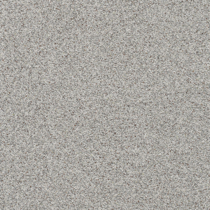 Out Of This World III Polyester Gemini 2860 Carpet Textured 1