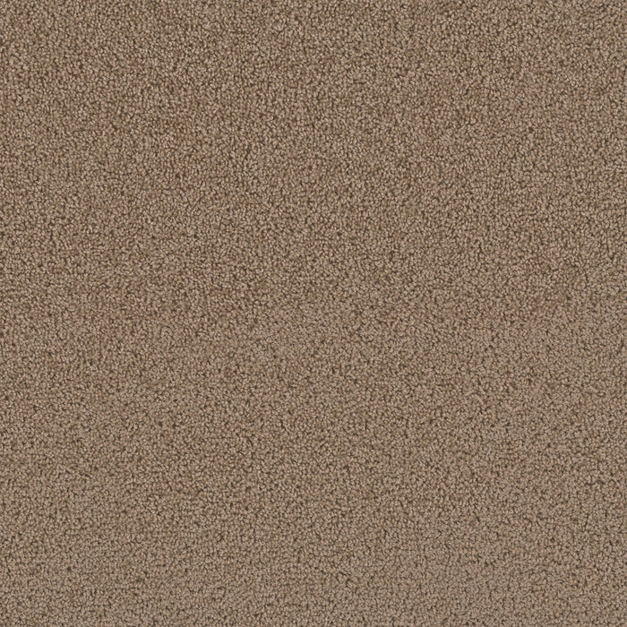 First Step Polyester Sable 510 Carpet Textured 1