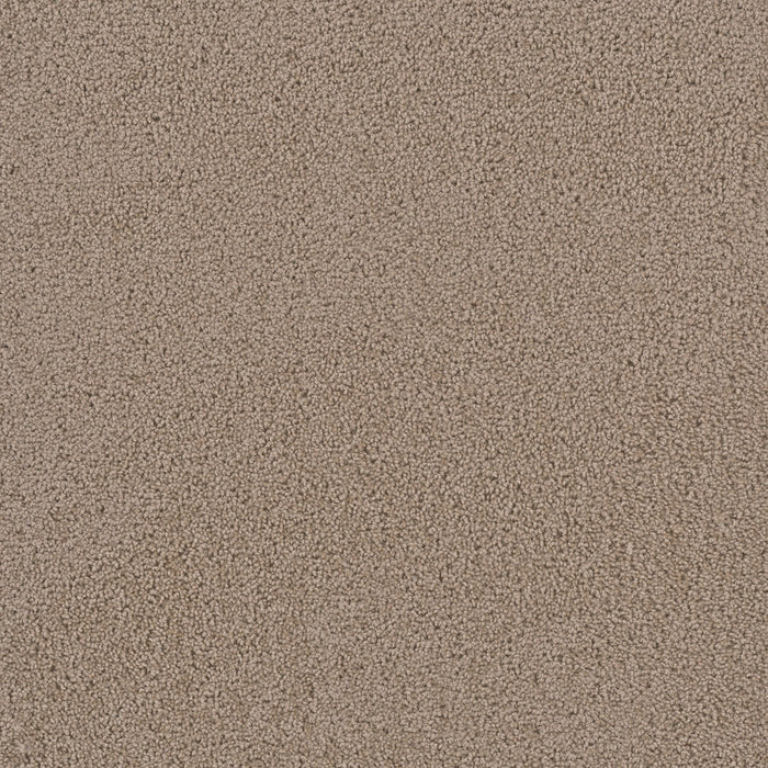 First Step Polyester Doeskin 530 Carpet Textured 1