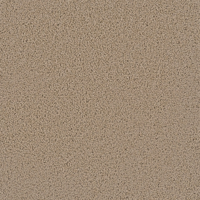 First Step Polyester Satinwood 555 Carpet Textured 1