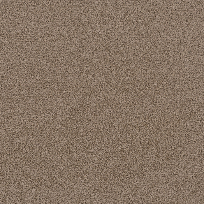 First Step Polyester Balsam 565 Carpet Textured 1
