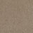 First Step Polyester Biscotti 642 Carpet Textured 1
