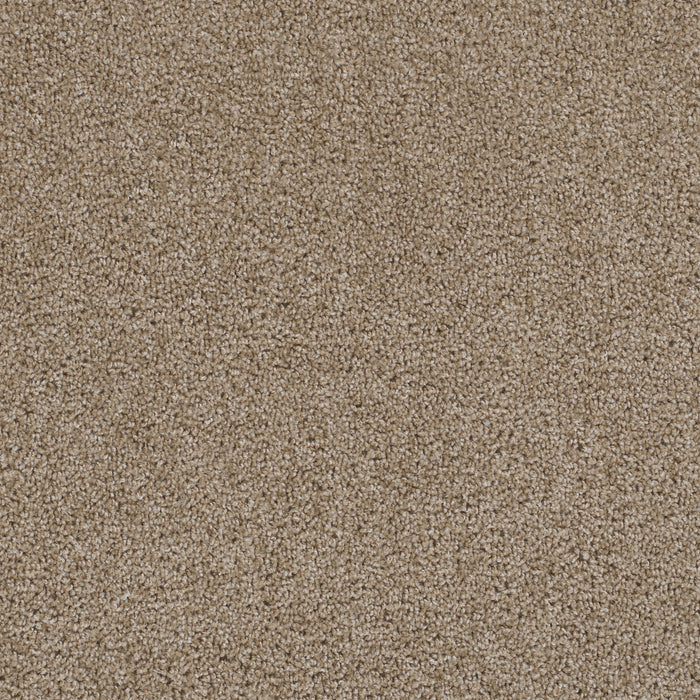 First Step Polyester Biscotti 642 Carpet Textured 1