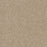 First Step Polyester Sawgrass 701 Carpet Textured 1