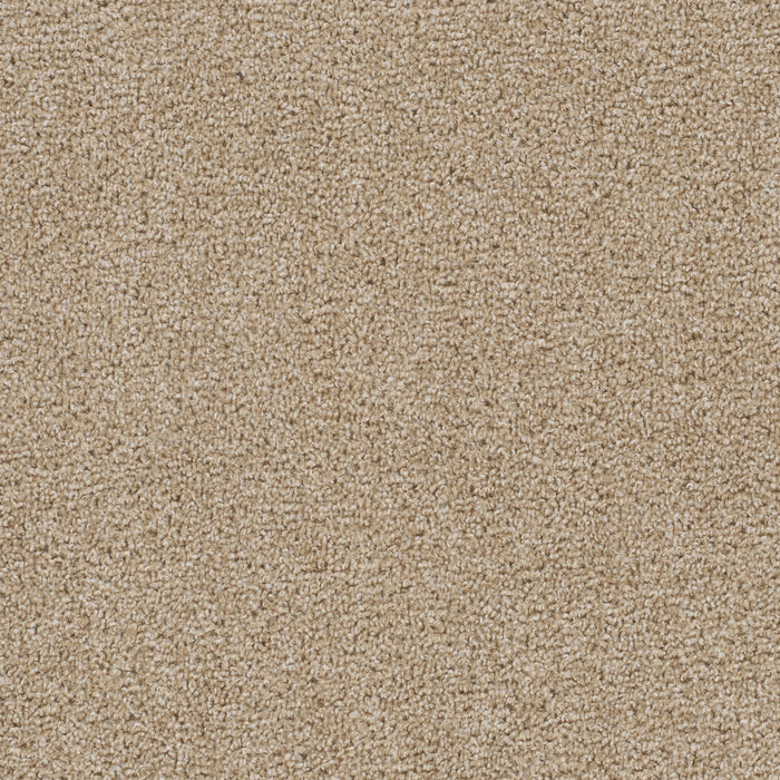 First Step Polyester Sawgrass 701 Carpet Textured 1