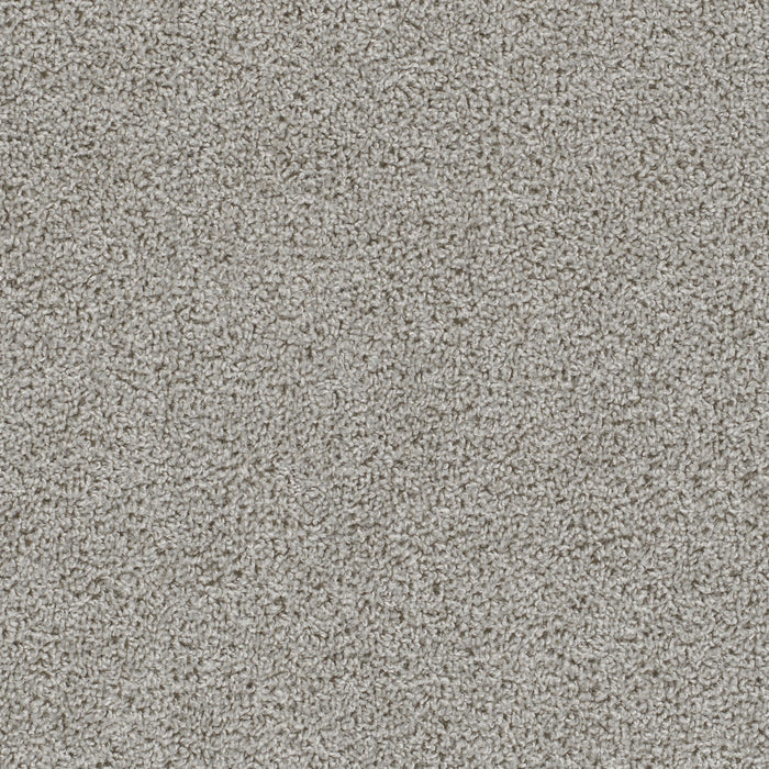 First Step Polyester Dove 800 Carpet Textured 1