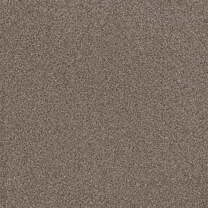 First Step Polyester Silvery 829 Carpet Textured 1