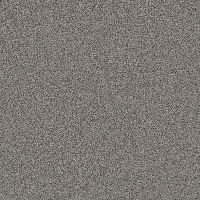 First Step Polyester Bayside 956 Carpet Textured 1