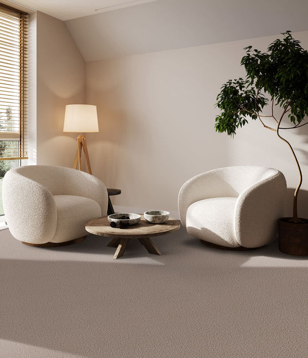 First Step Polyester Biscotti 642 Carpet Textured 2