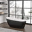 White / Matte Black Acrylic Bathtub