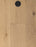 Campania Wood Pale Honey Engineered Hardwood UV Lacquer 1