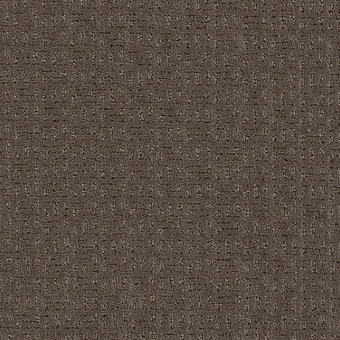 Seafall Polyester Urbandale 870 Carpet Loop 1