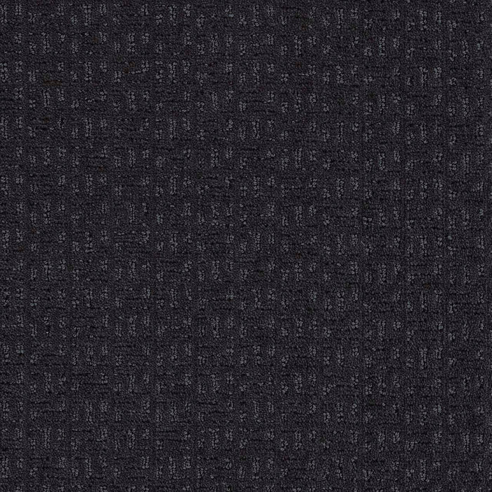 Seafall Polyester Star Gaze 998 Carpet Loop 1