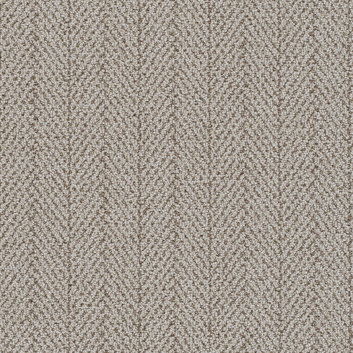 Amalfi Polyester Athens 2440 Carpet Loop 1