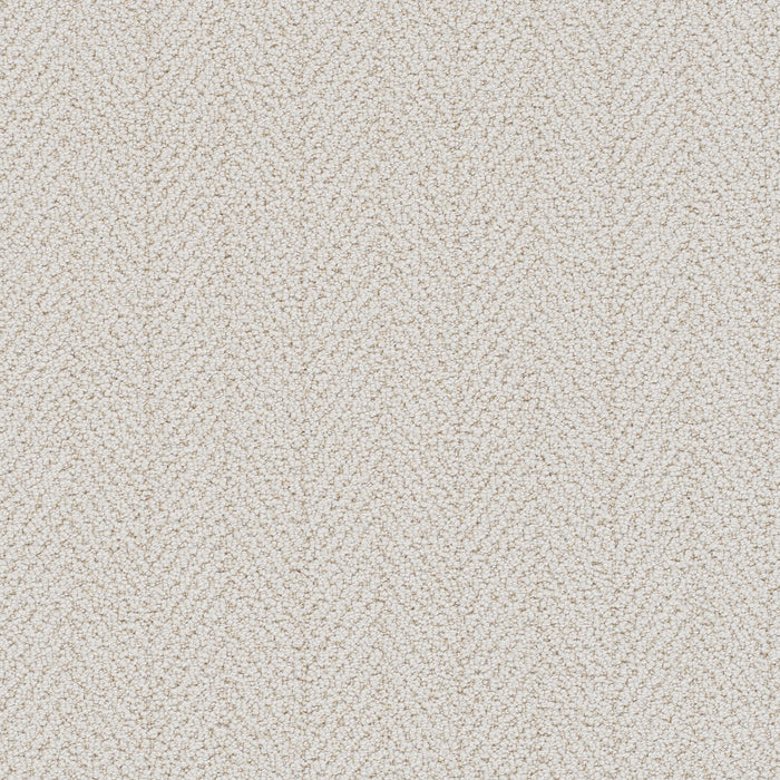 Amalfi Polyester Magnificent 2872 Carpet Loop 1
