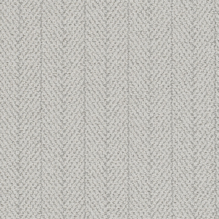 Amalfi Polyester Nautilus 4328 Carpet Loop 1